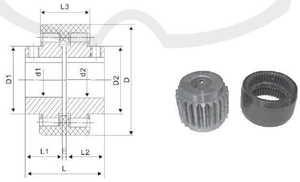Khớp nối trục linh hoạt NL3 Vòng trong bằng nylon Khớp nối bánh răng thép cho máy bơm 0