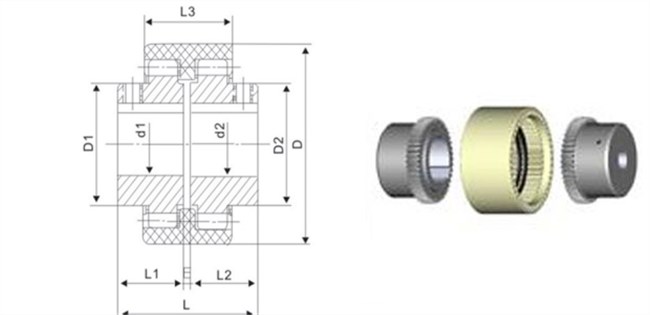 5000 RPM Motor Drive Flexible Gear Coupling With Nylon Sleeve 3